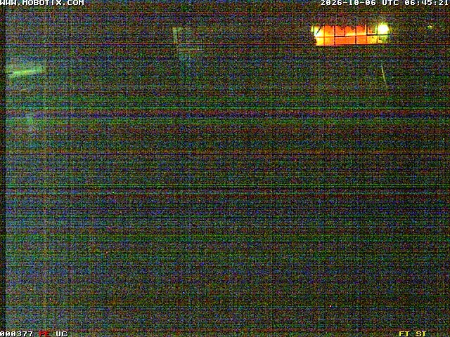 Archiv Foto Webcam Willingen: Blick in die Eissporthalle