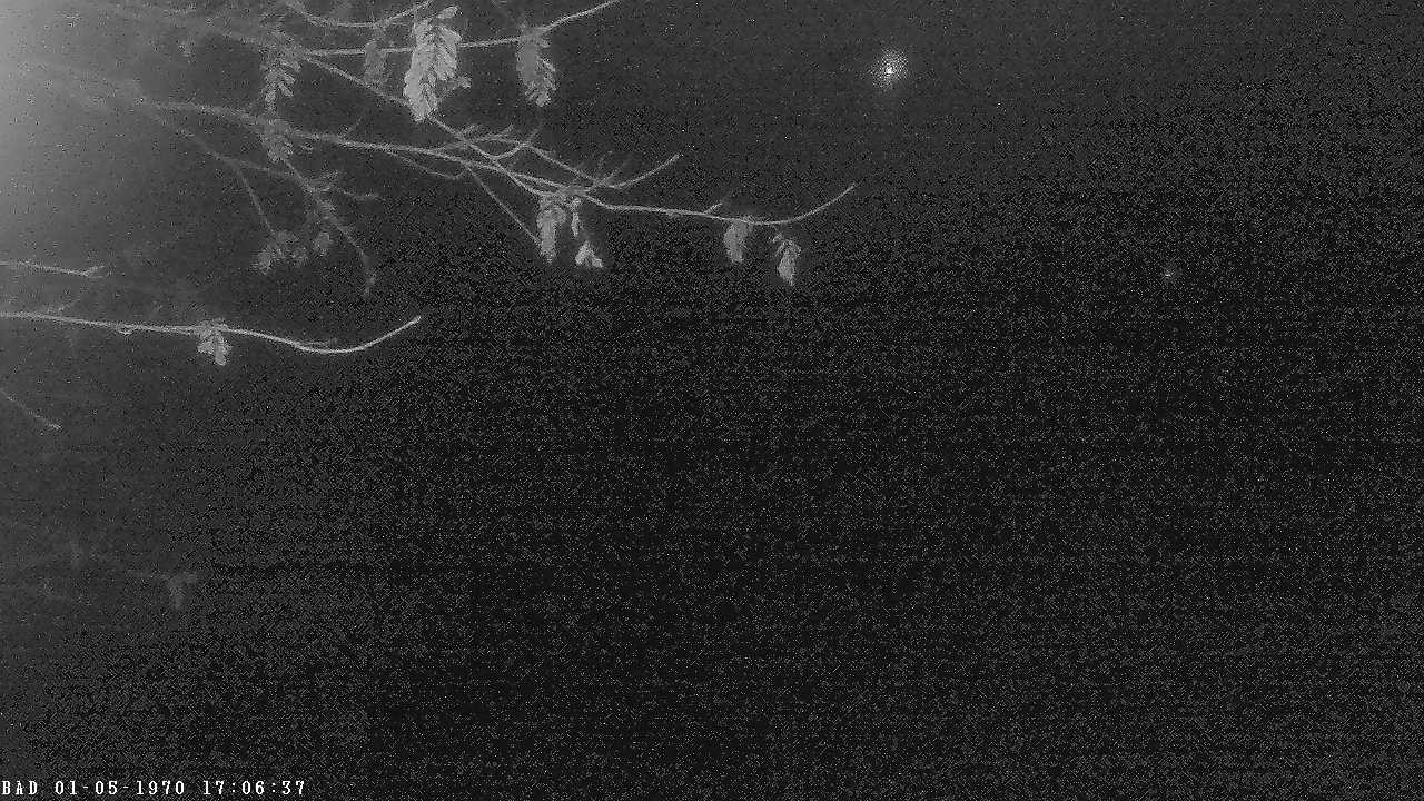 Archiv Foto Webcam Oberstdorf: Freibergsee Liegewiese