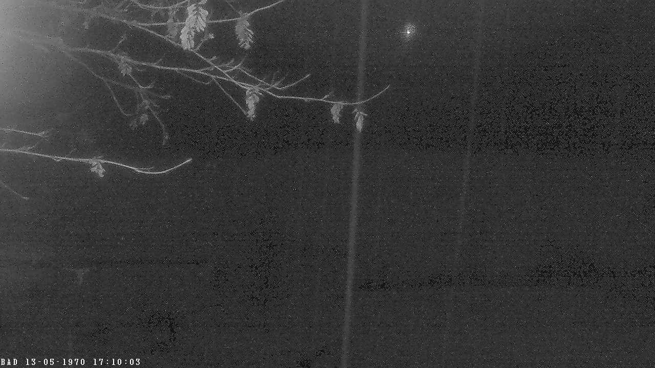 Archived image Webcam Oberstdorf: Freibergsee Sunbathing Area