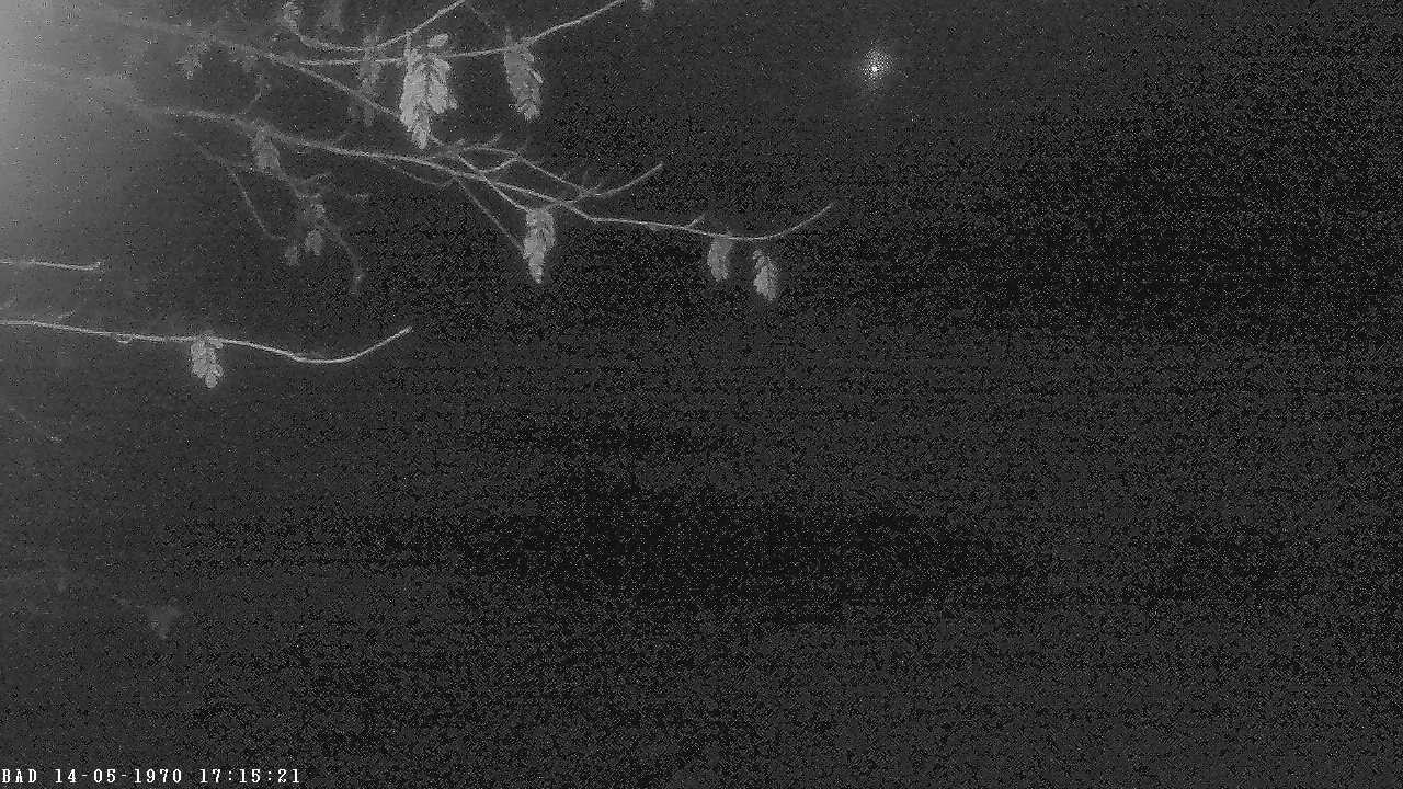 Archived image Webcam Oberstdorf: Freibergsee Sunbathing Area