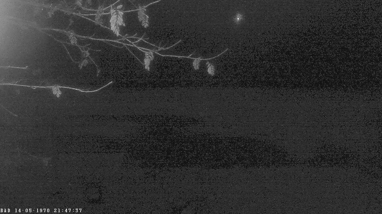 Archived image Webcam Oberstdorf: Freibergsee Sunbathing Area