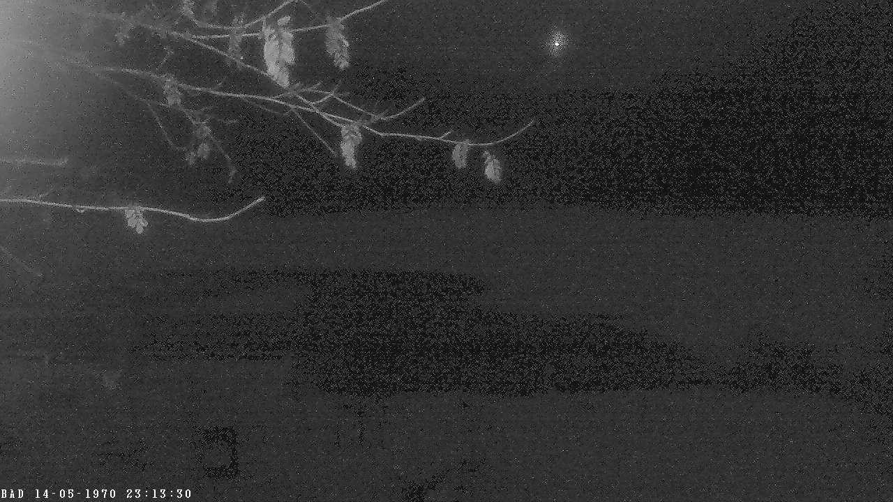 Archived image Webcam Oberstdorf: Freibergsee Sunbathing Area