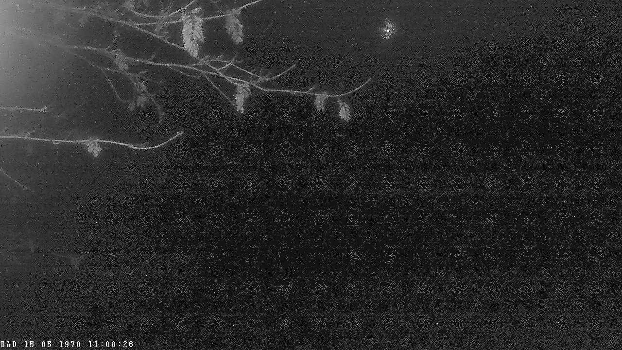 Archived image Webcam Oberstdorf: Freibergsee Sunbathing Area