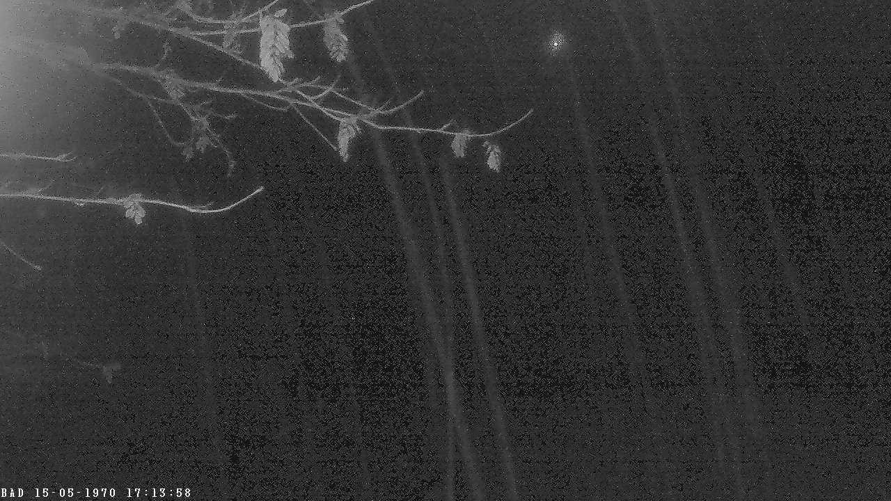 Archiv Foto Webcam Oberstdorf: Freibergsee Liegewiese