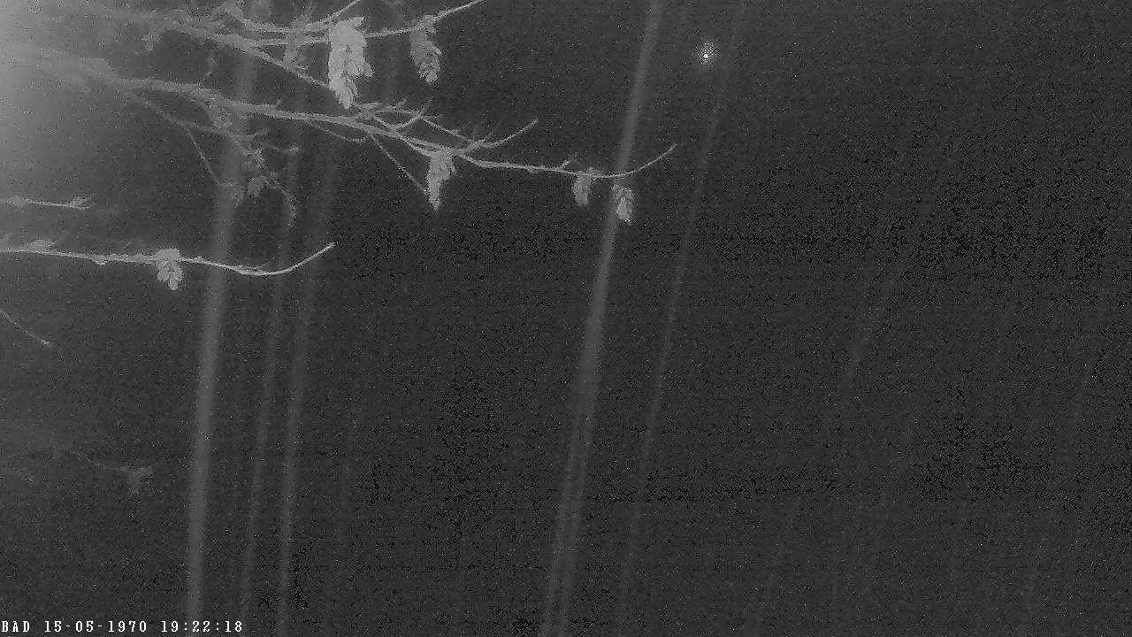 Archiv Foto Webcam Oberstdorf: Freibergsee Liegewiese