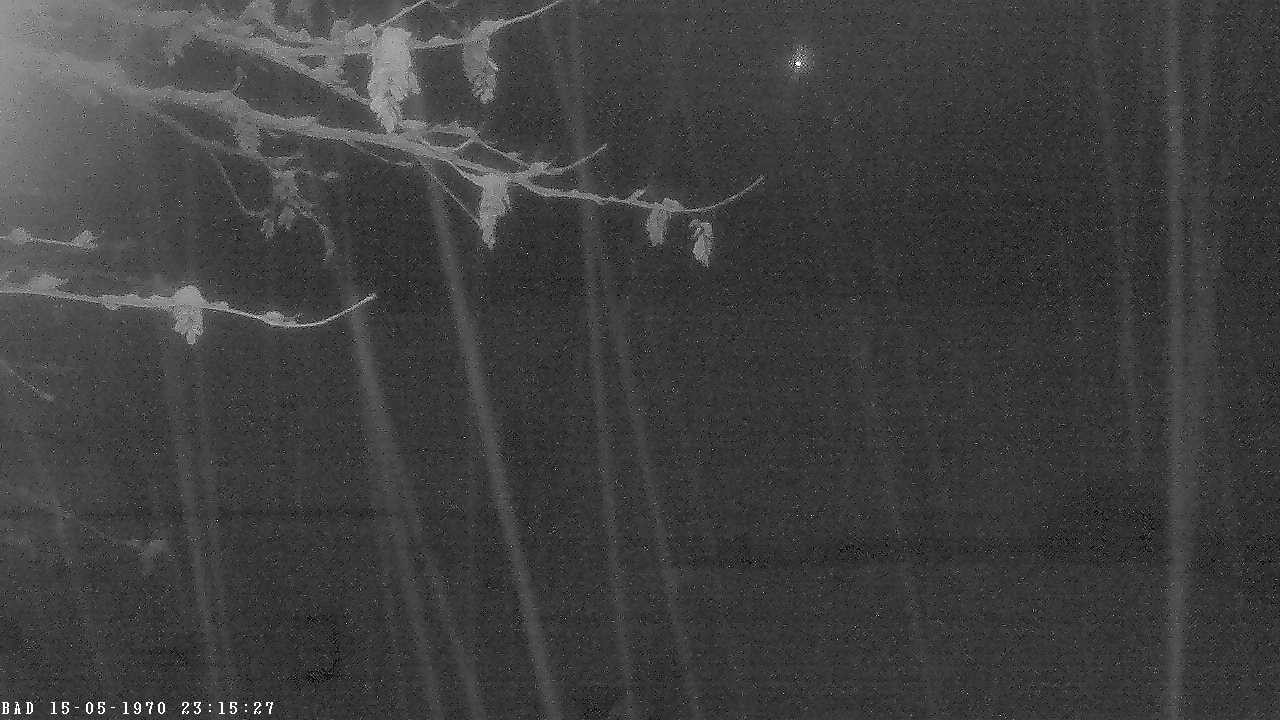 Archiv Foto Webcam Oberstdorf: Freibergsee Liegewiese