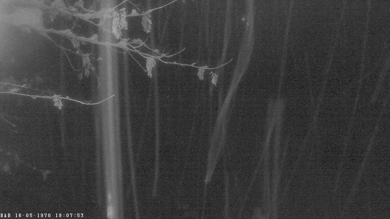 Archived image Webcam Oberstdorf: Freibergsee Sunbathing Area