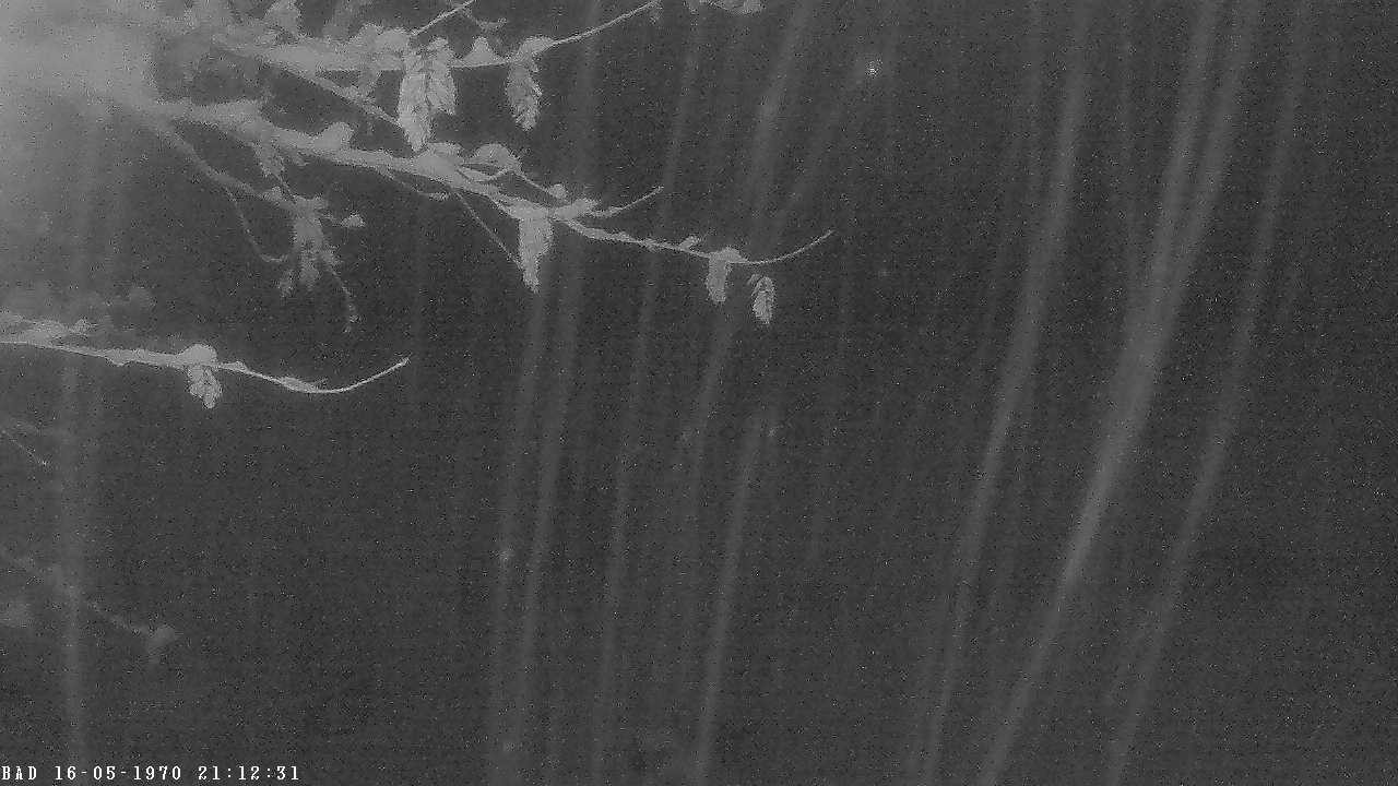 Archived image Webcam Oberstdorf: Freibergsee Sunbathing Area