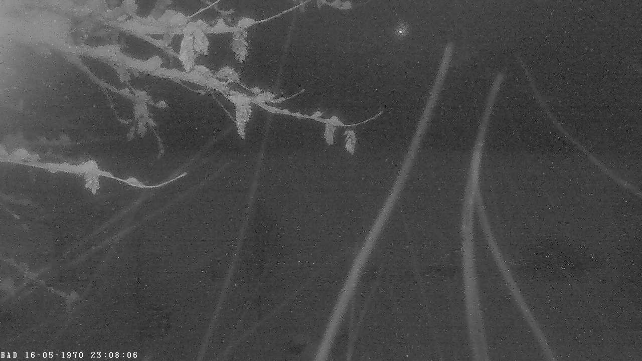 Archiv Foto Webcam Oberstdorf: Freibergsee Liegewiese