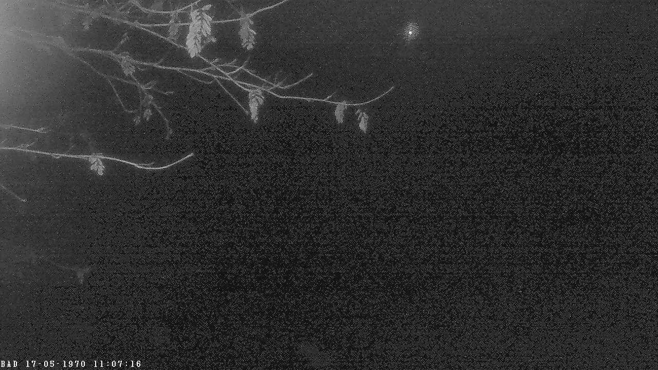 Archiv Foto Webcam Oberstdorf: Freibergsee Liegewiese