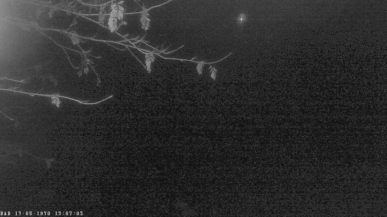 Archiv Foto Webcam Oberstdorf: Freibergsee Liegewiese