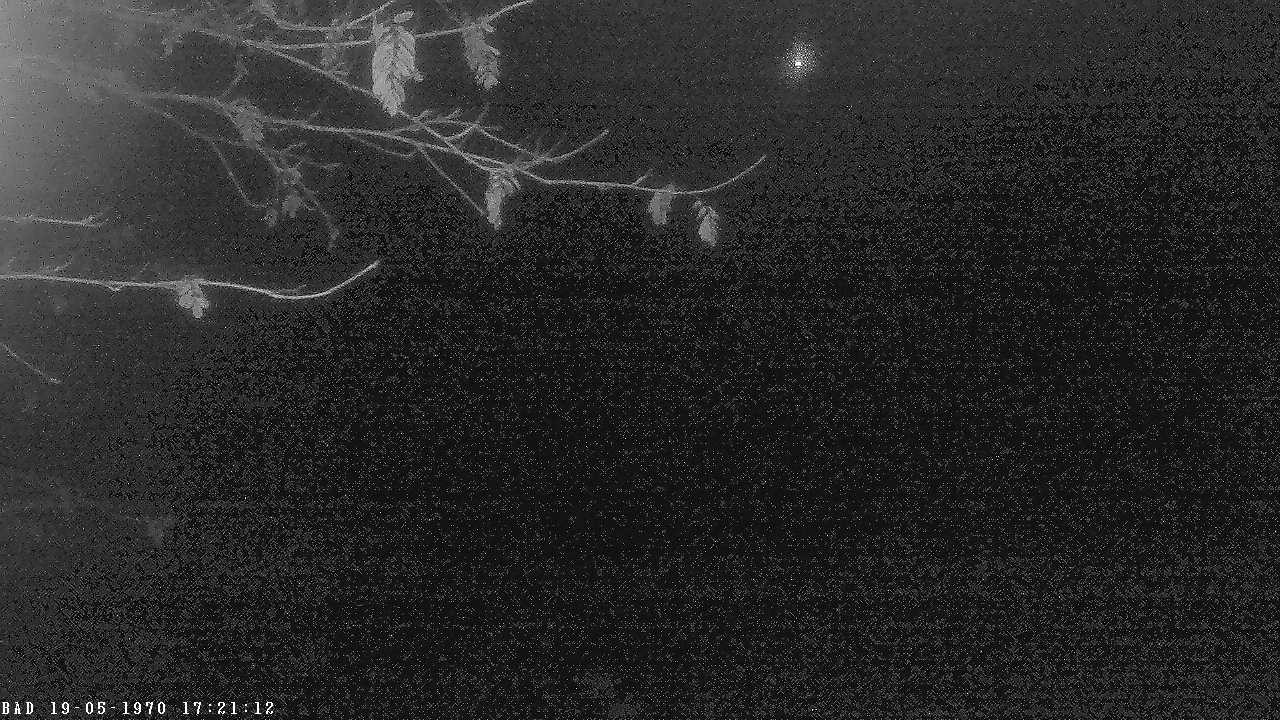 Archiv Foto Webcam Oberstdorf: Freibergsee Liegewiese