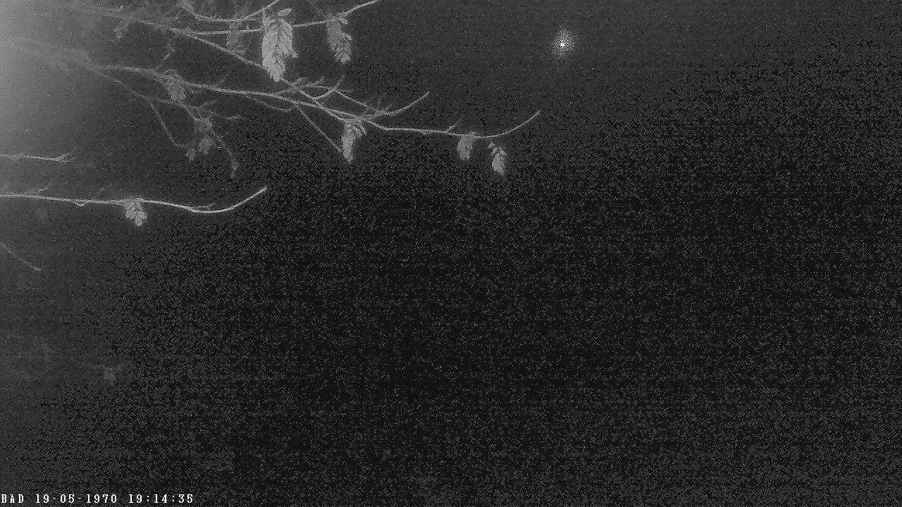 Archiv Foto Webcam Oberstdorf: Freibergsee Liegewiese