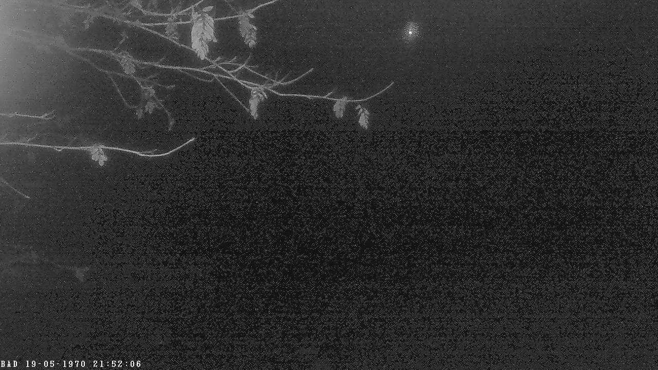 Archiv Foto Webcam Oberstdorf: Freibergsee Liegewiese