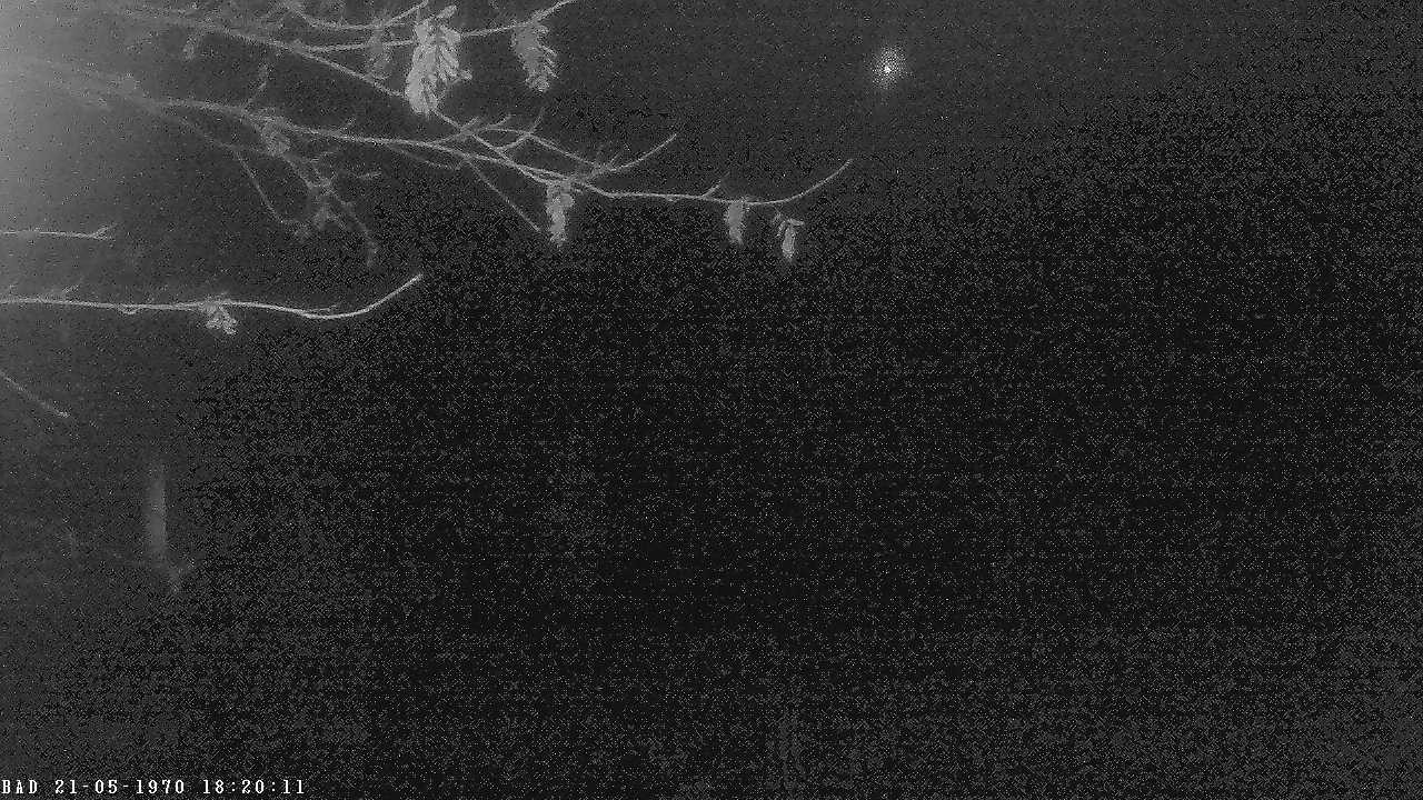 Archiv Foto Webcam Oberstdorf: Freibergsee Liegewiese