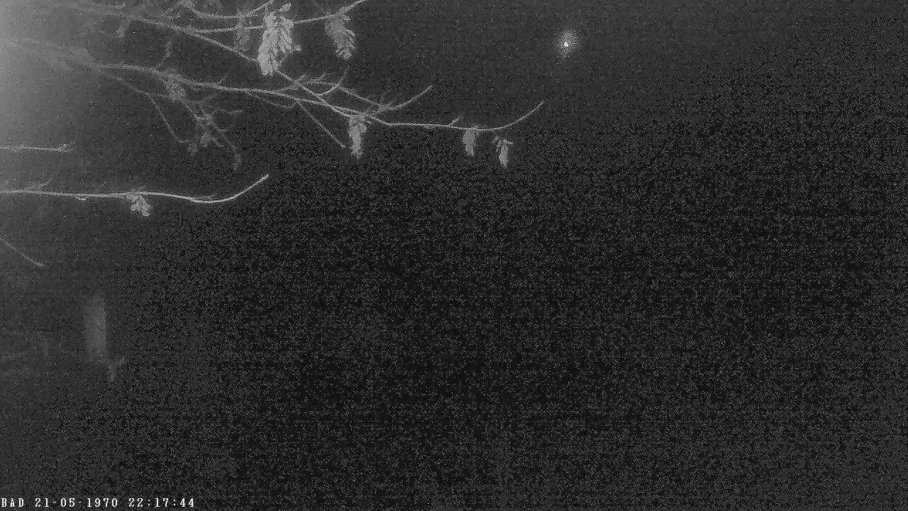 Archiv Foto Webcam Oberstdorf: Freibergsee Liegewiese