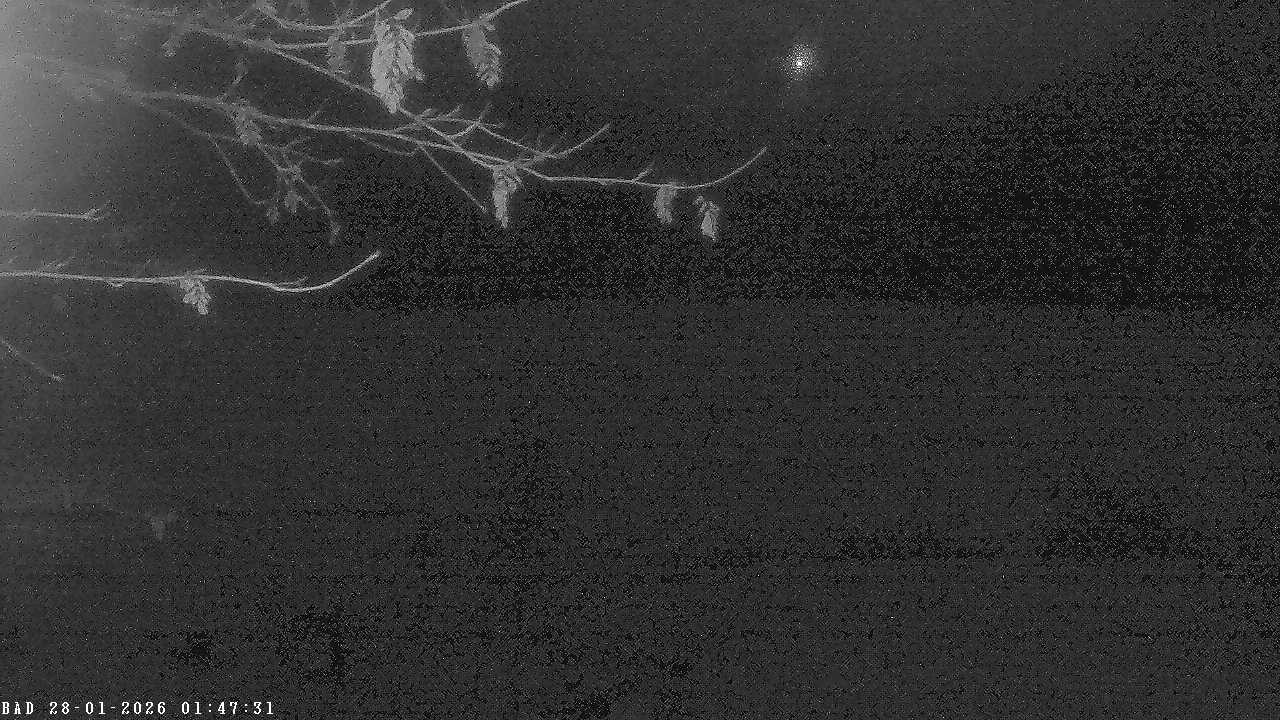 Archiv Foto Webcam Oberstdorf: Freibergsee Liegewiese