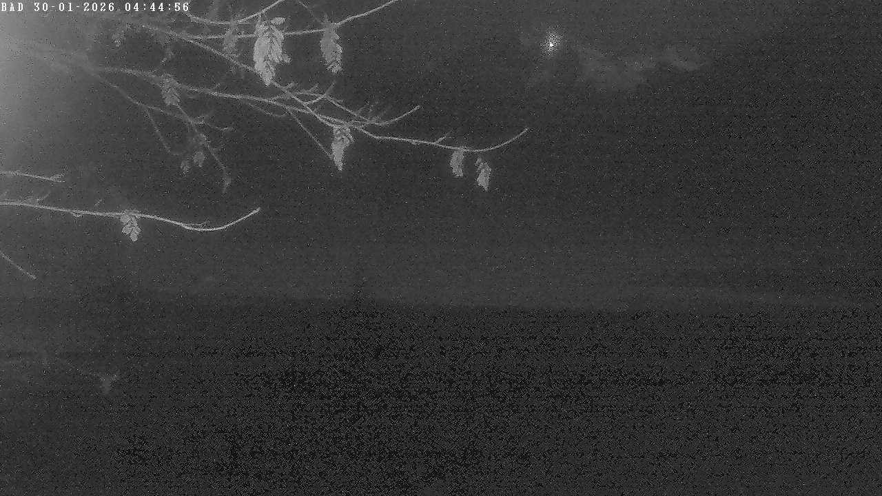 Archiv Foto Webcam Oberstdorf: Freibergsee Liegewiese