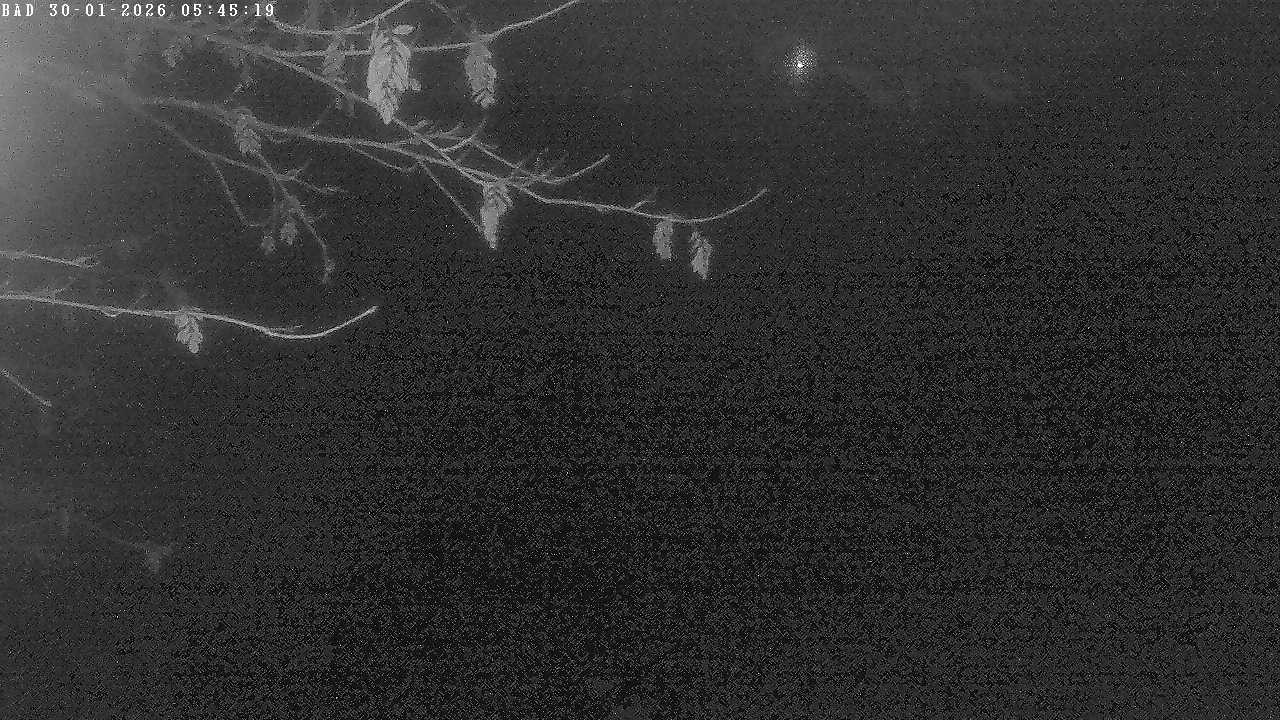 Archiv Foto Webcam Oberstdorf: Freibergsee Liegewiese