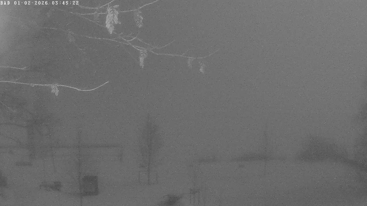 Archiv Foto Webcam Oberstdorf: Freibergsee Liegewiese