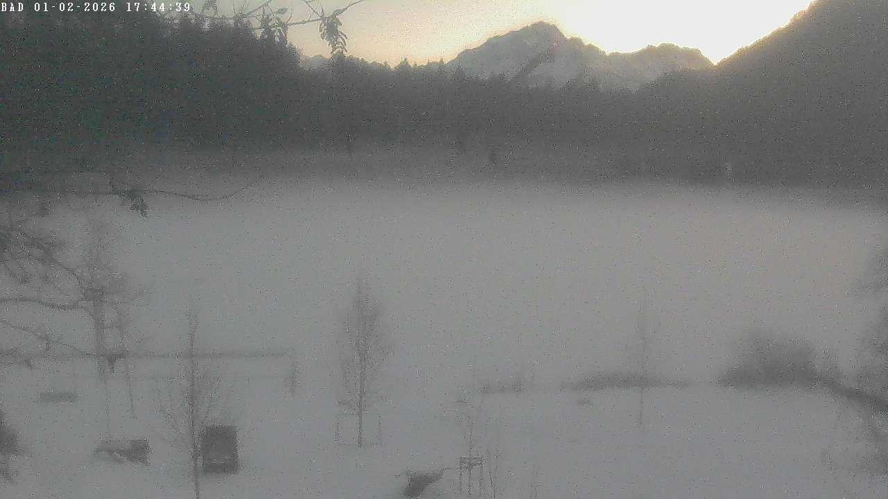 Archiv Foto Webcam Oberstdorf: Freibergsee Liegewiese