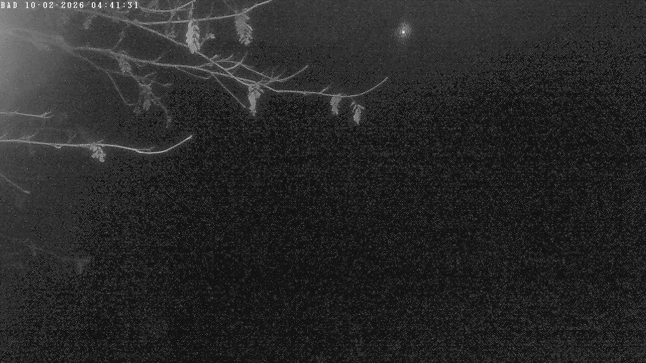 Archiv Foto Webcam Oberstdorf: Freibergsee Liegewiese