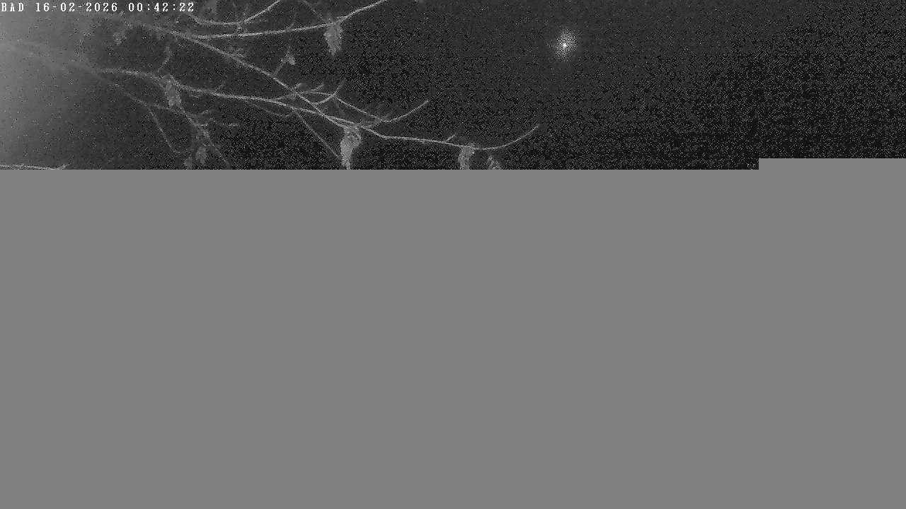 Archiv Foto Webcam Oberstdorf: Freibergsee Liegewiese