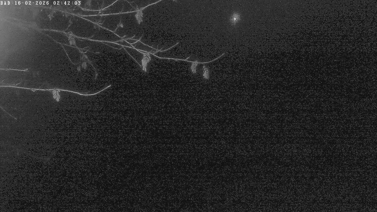 Archiv Foto Webcam Oberstdorf: Freibergsee Liegewiese