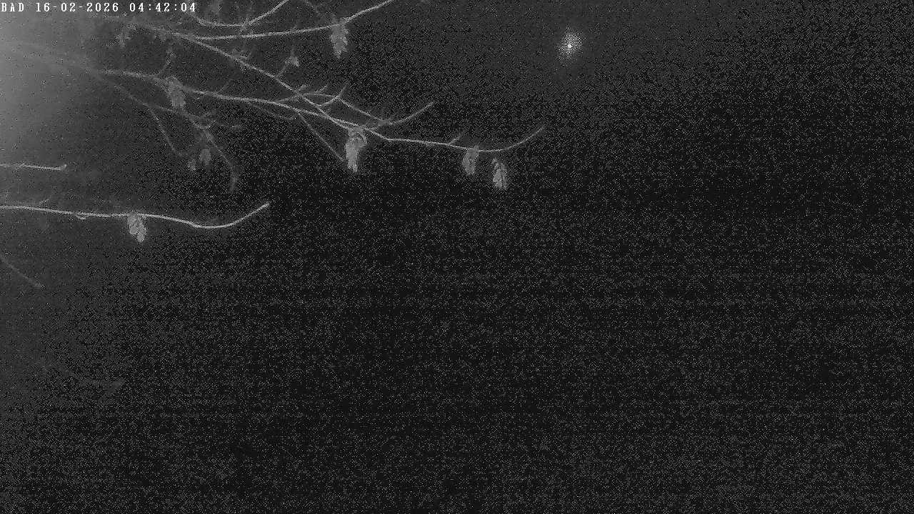 Archiv Foto Webcam Oberstdorf: Freibergsee Liegewiese