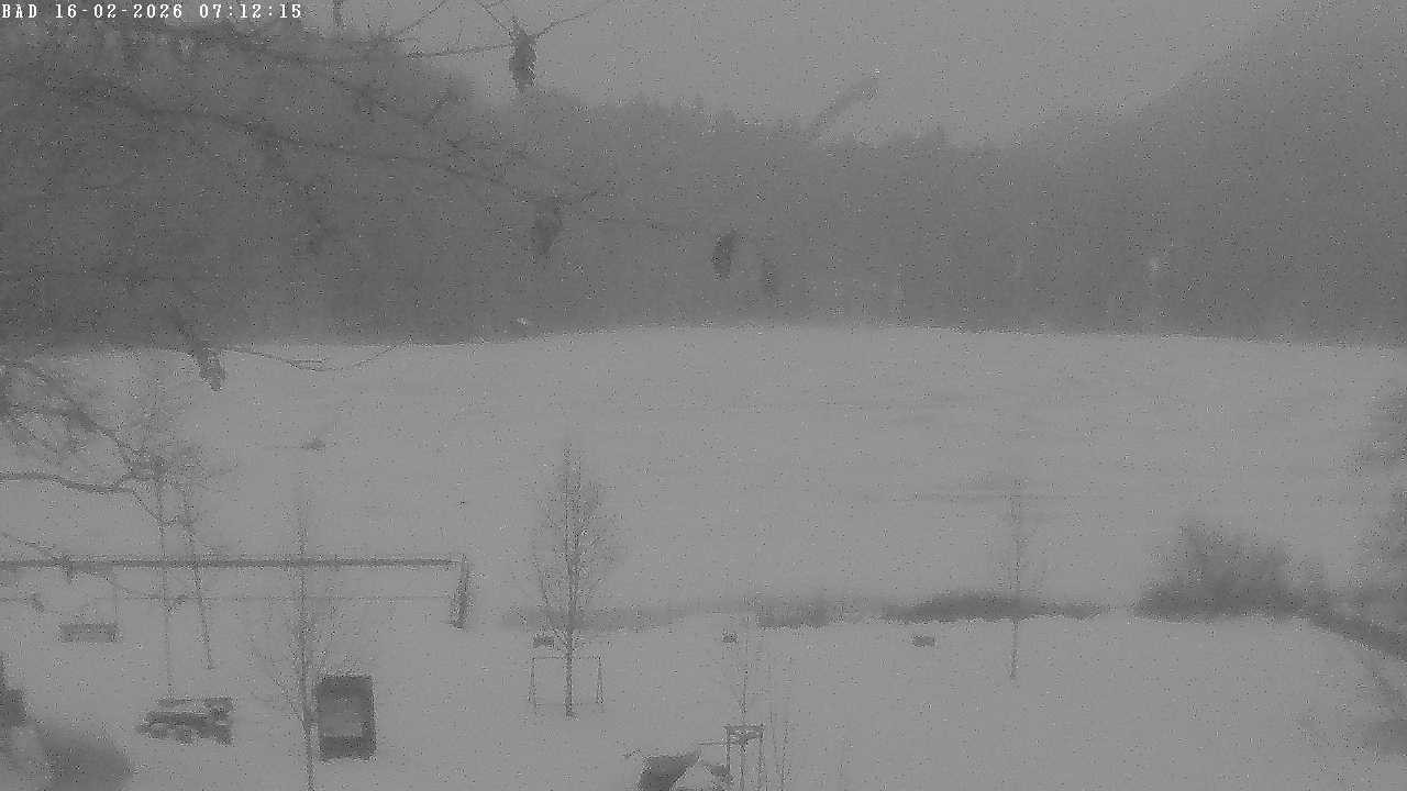 Archiv Foto Webcam Oberstdorf: Freibergsee Liegewiese