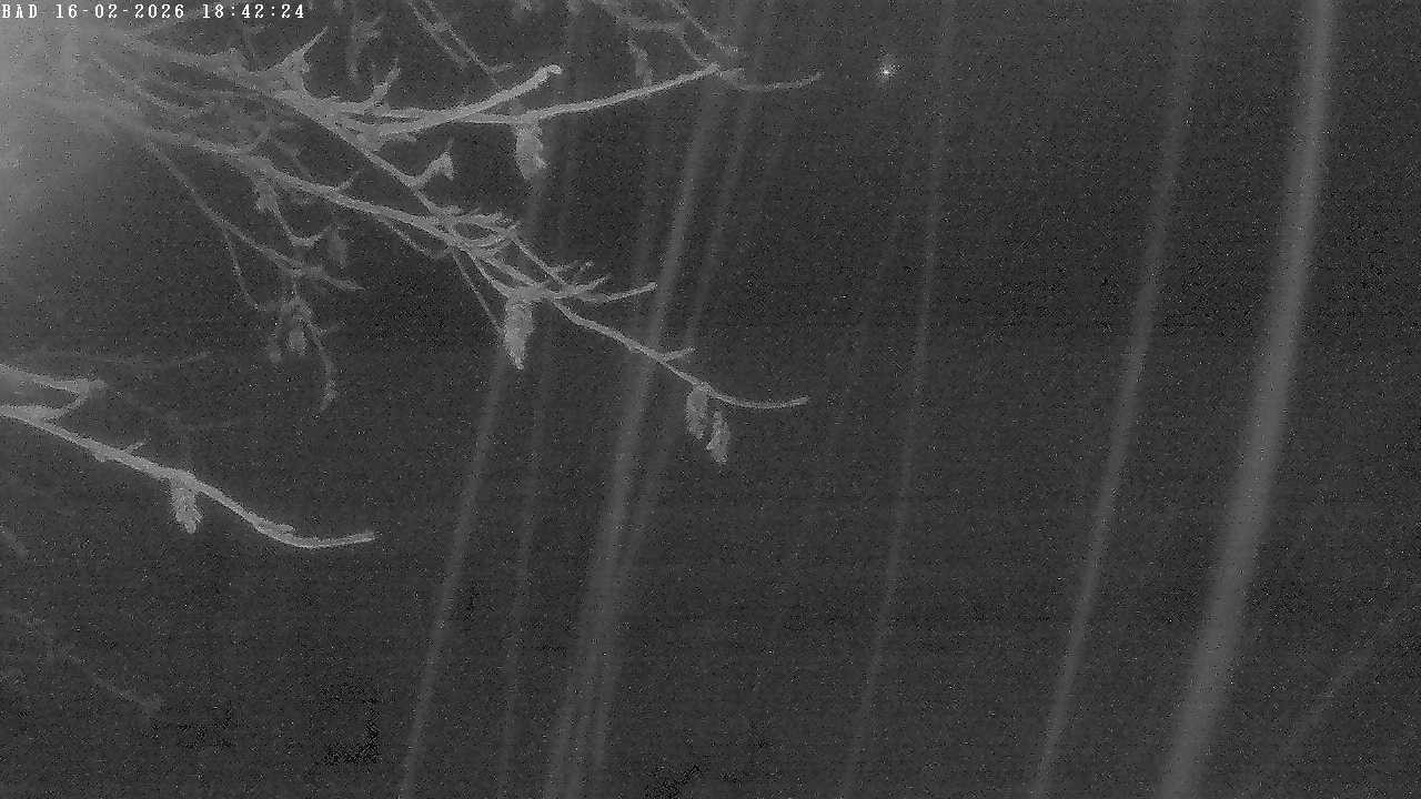 Archiv Foto Webcam Oberstdorf: Freibergsee Liegewiese