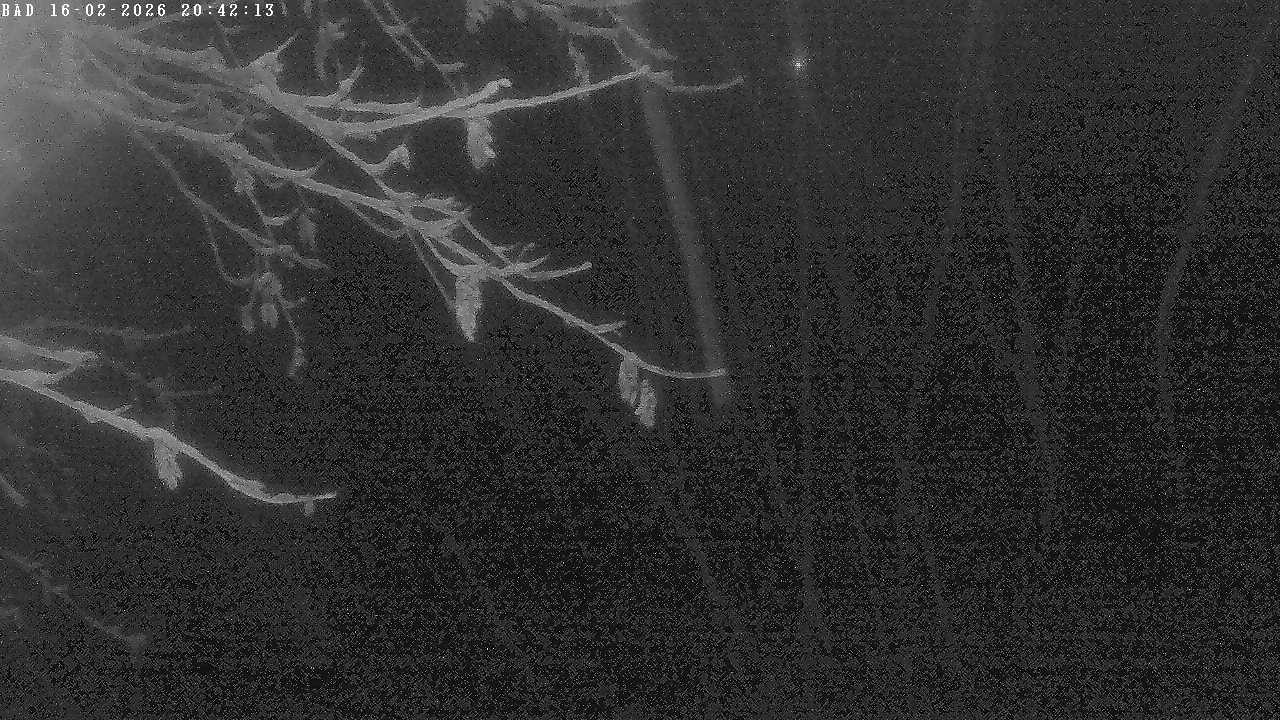 Archiv Foto Webcam Oberstdorf: Freibergsee Liegewiese