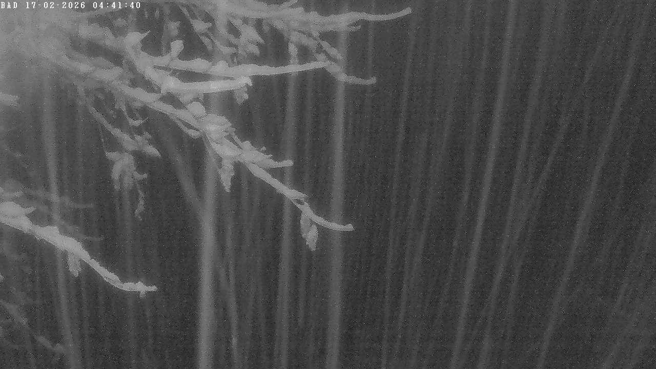 Archiv Foto Webcam Oberstdorf: Freibergsee Liegewiese