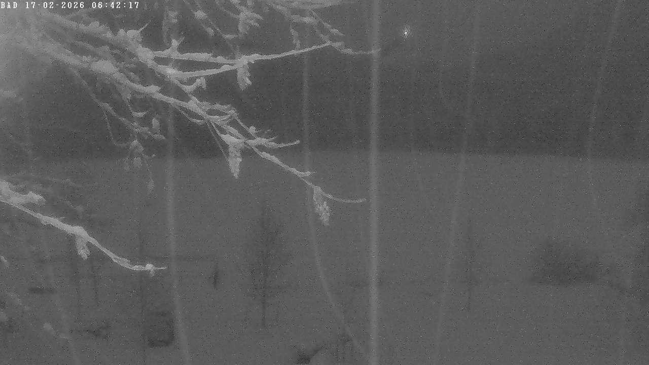 Archiv Foto Webcam Oberstdorf: Freibergsee Liegewiese