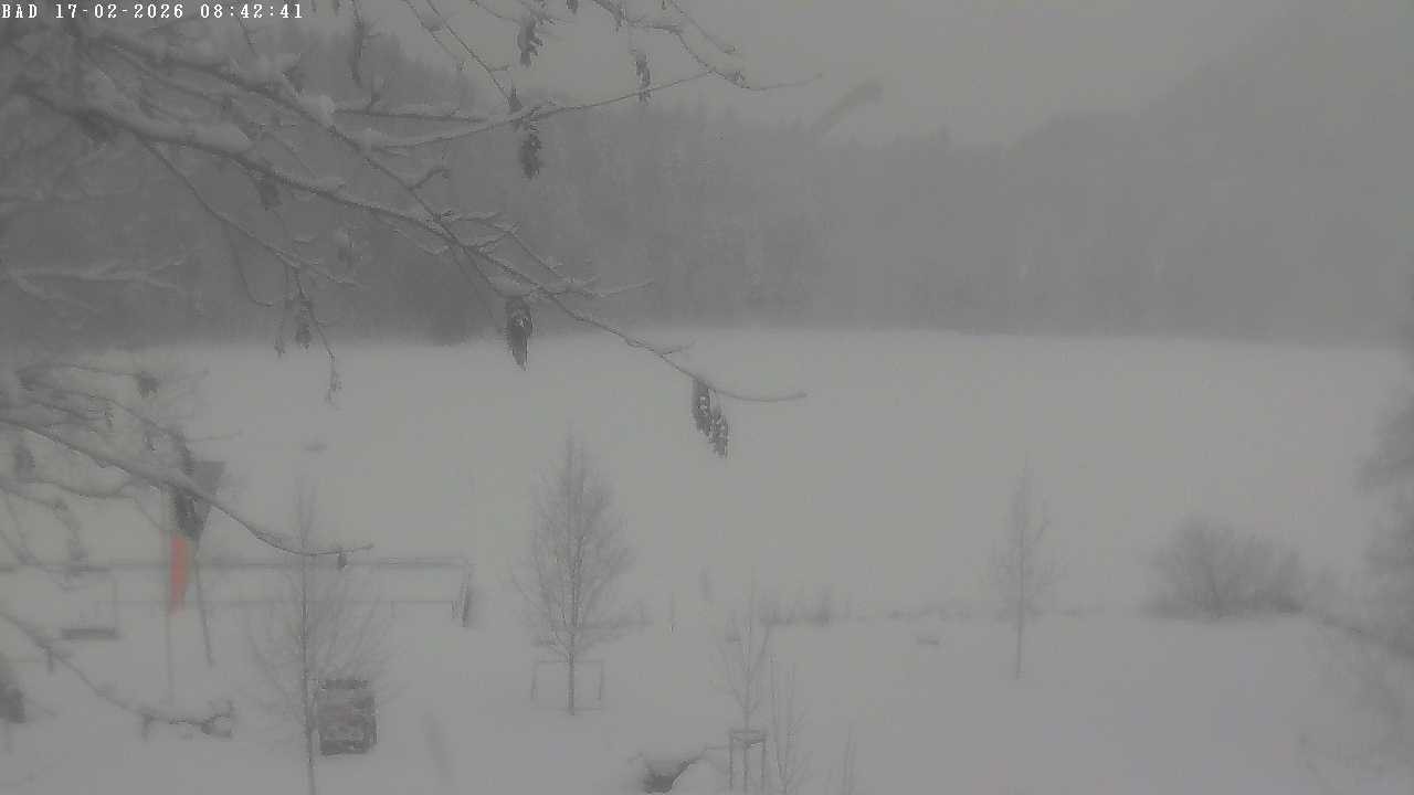 Archiv Foto Webcam Oberstdorf: Freibergsee Liegewiese
