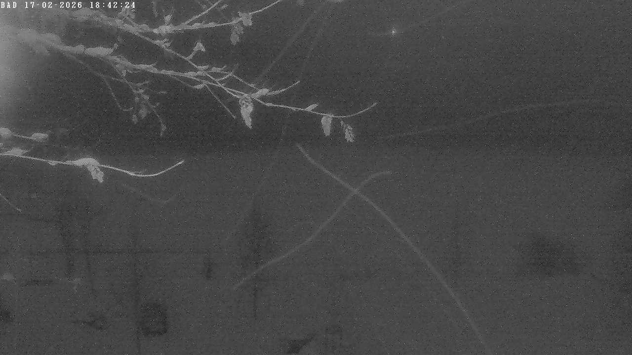 Archiv Foto Webcam Oberstdorf: Freibergsee Liegewiese