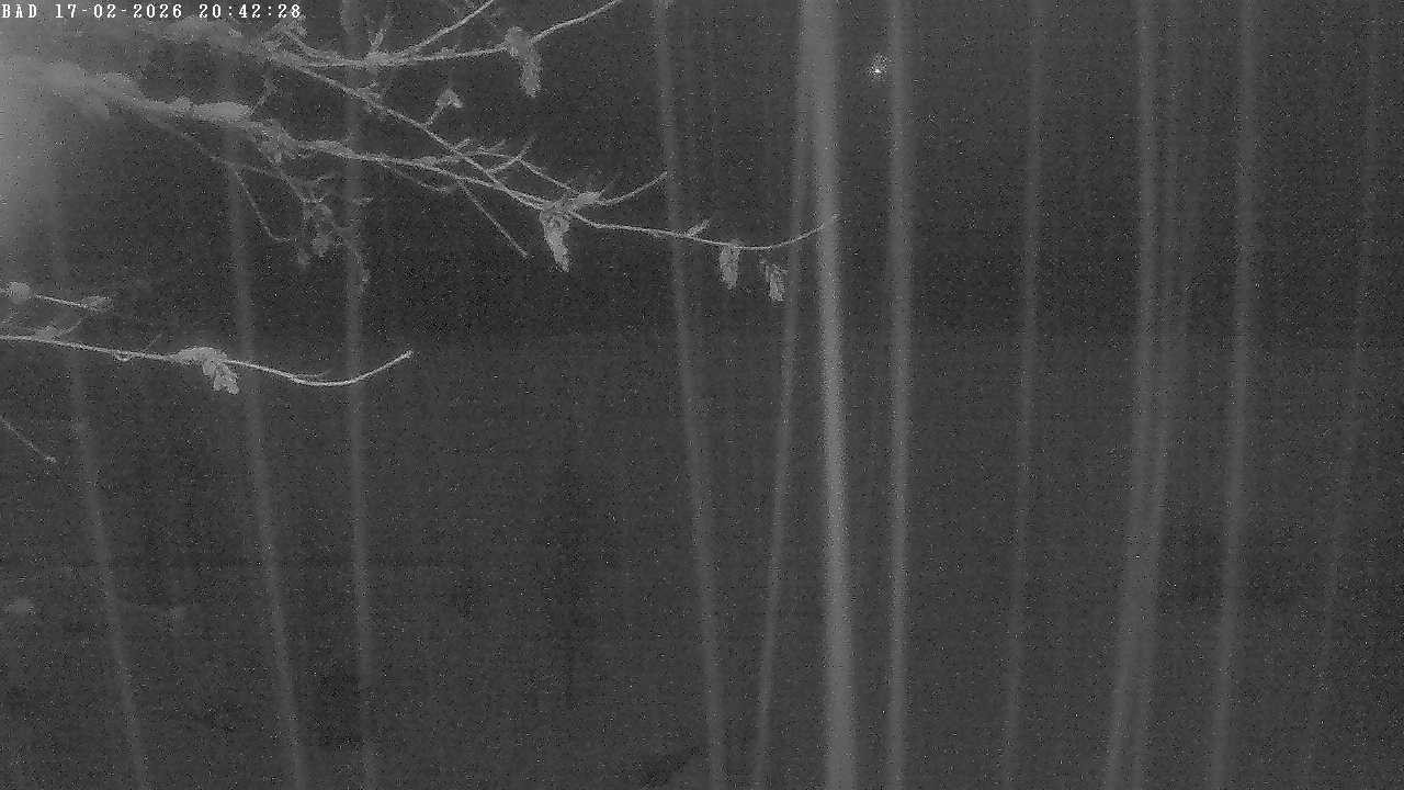 Archiv Foto Webcam Oberstdorf: Freibergsee Liegewiese