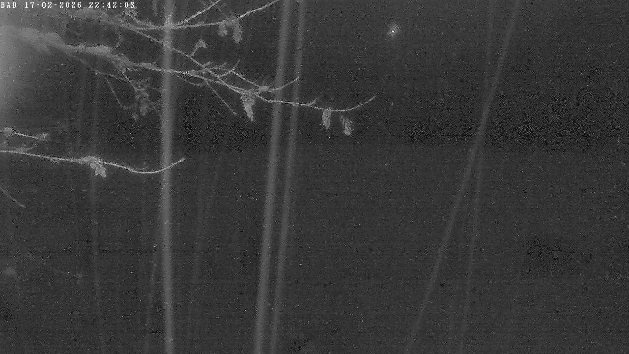 Archiv Foto Webcam Oberstdorf: Freibergsee Liegewiese