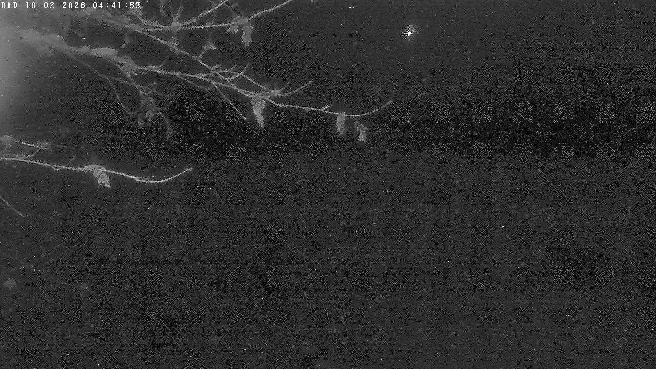 Archived image Webcam Oberstdorf: Freibergsee Sunbathing Area