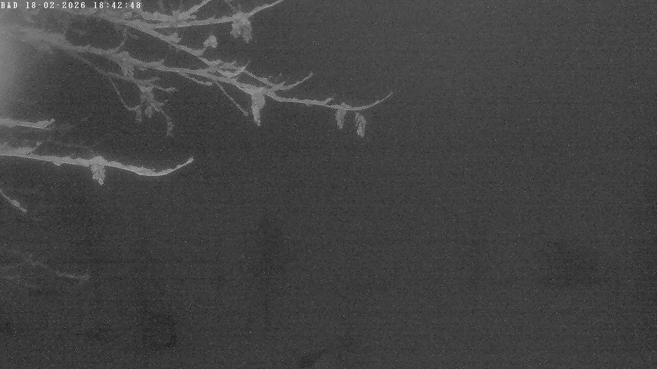 Archived image Webcam Oberstdorf: Freibergsee Sunbathing Area