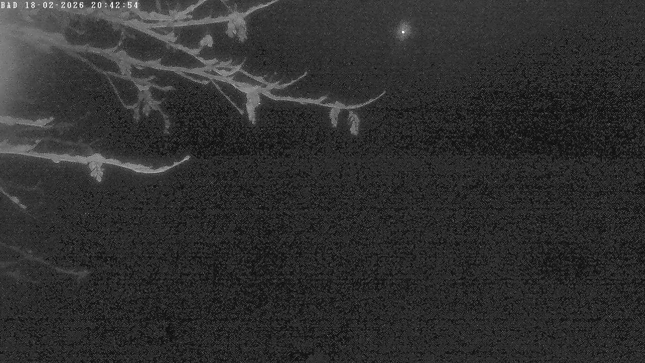 Archived image Webcam Oberstdorf: Freibergsee Sunbathing Area