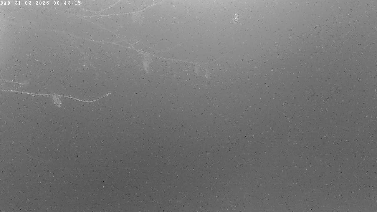 Archiv Foto Webcam Oberstdorf: Freibergsee Liegewiese