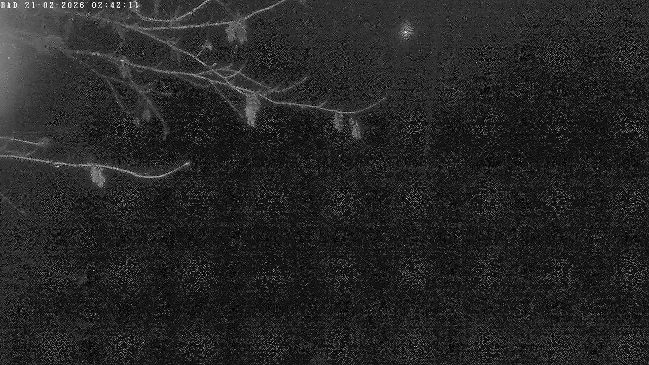 Archiv Foto Webcam Oberstdorf: Freibergsee Liegewiese