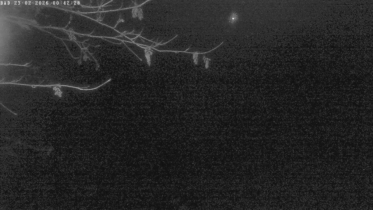 Archiv Foto Webcam Oberstdorf: Freibergsee Liegewiese