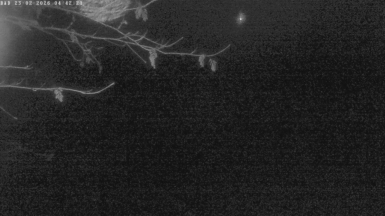 Archiv Foto Webcam Oberstdorf: Freibergsee Liegewiese