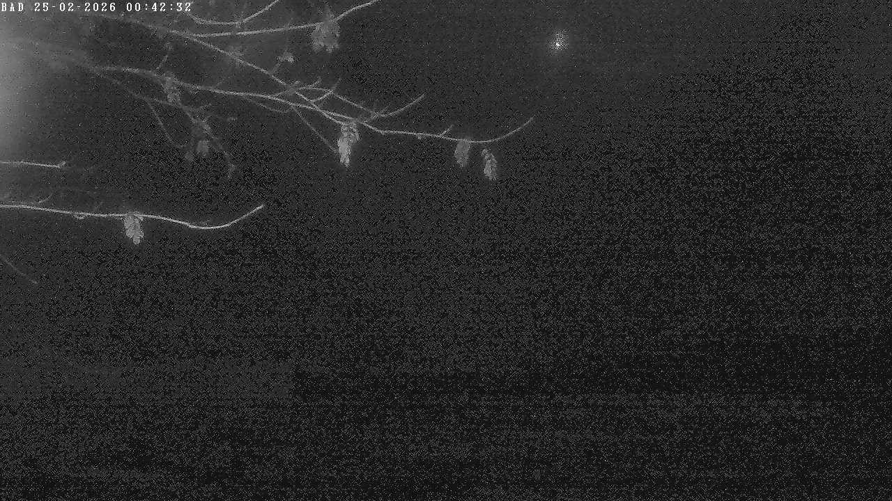 Archived image Webcam Oberstdorf: Freibergsee Sunbathing Area