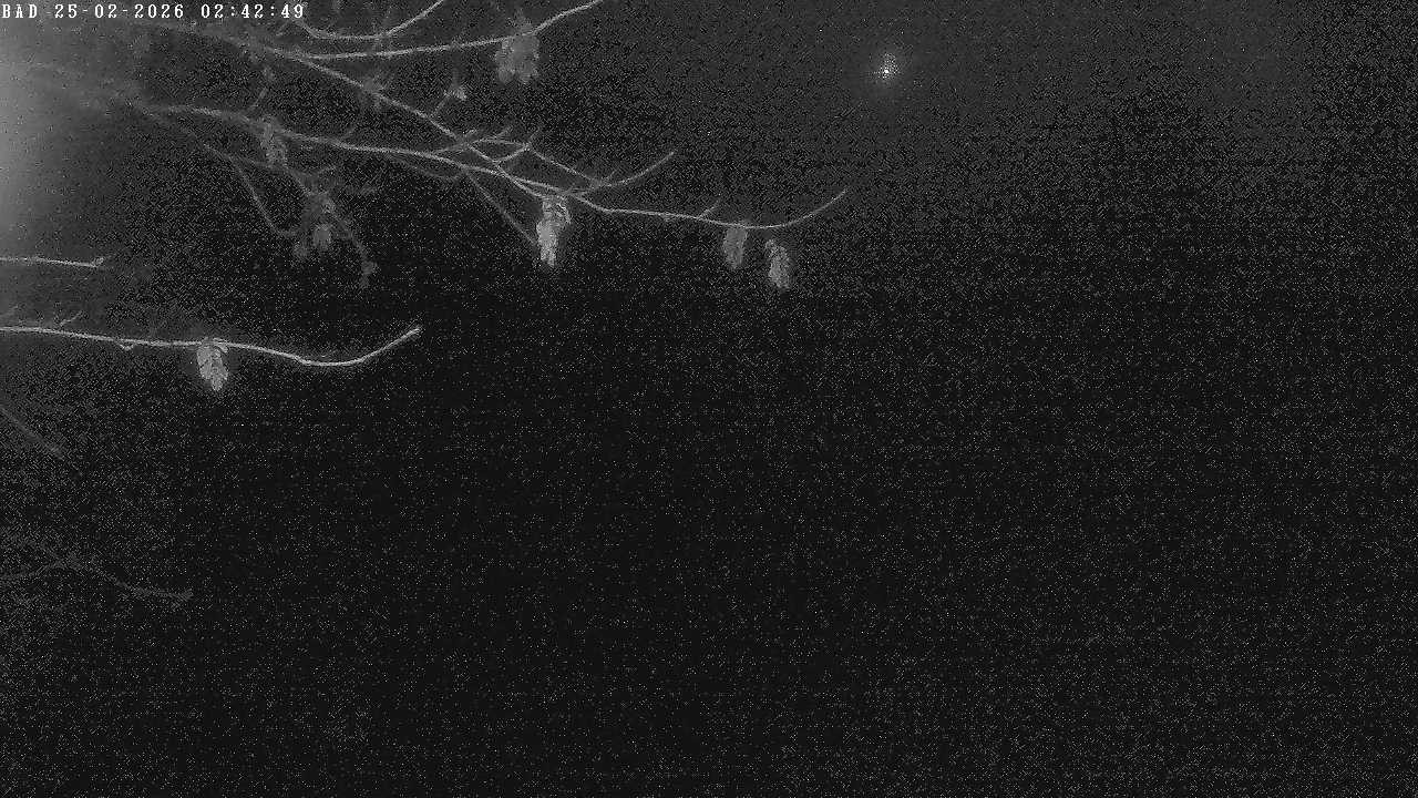 Archiv Foto Webcam Oberstdorf: Freibergsee Liegewiese