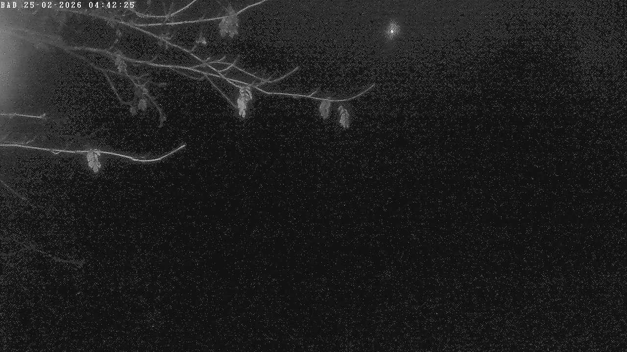 Archiv Foto Webcam Oberstdorf: Freibergsee Liegewiese