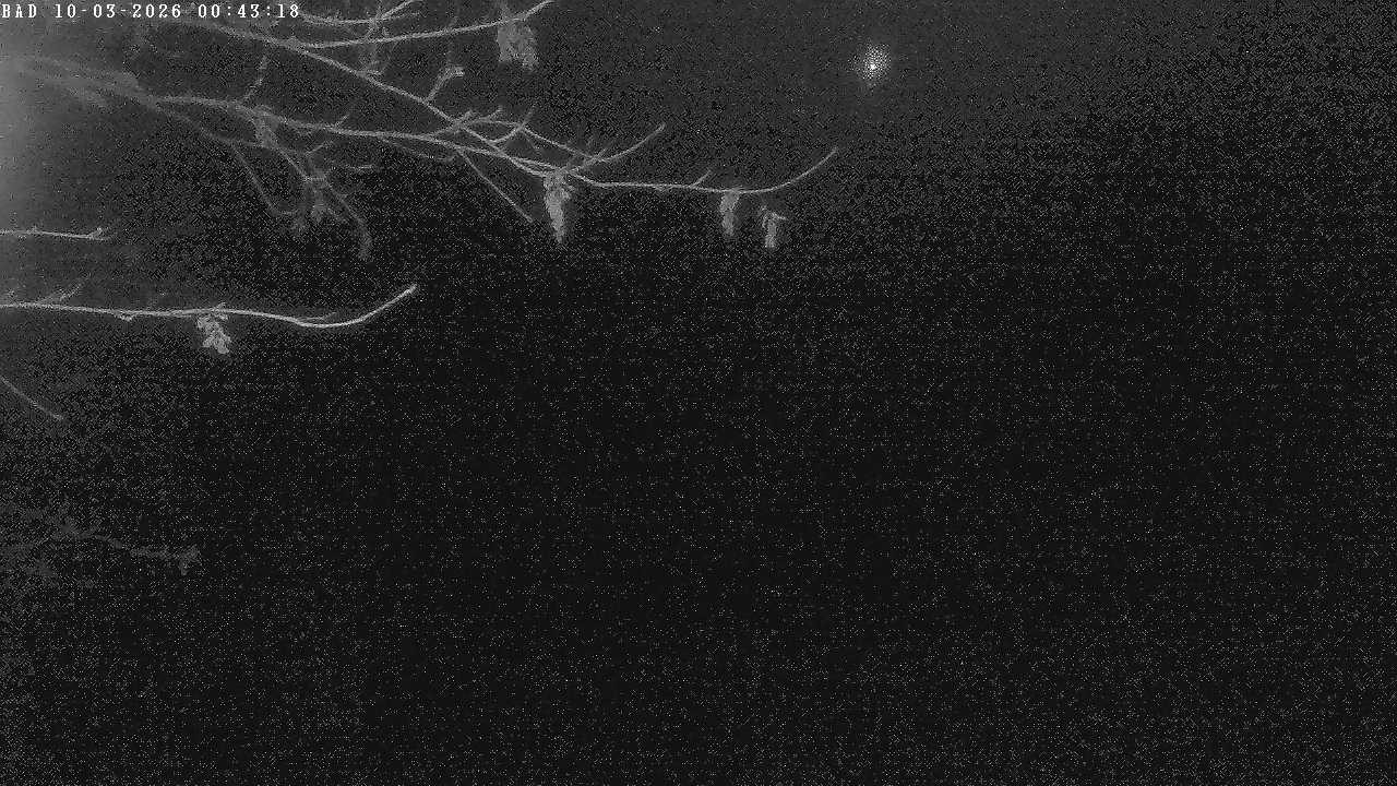 Archived image Webcam Oberstdorf: Freibergsee Sunbathing Area