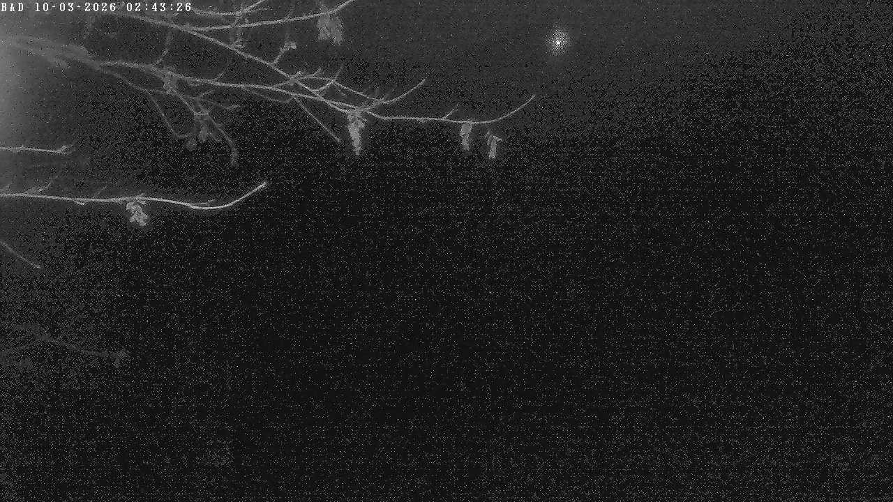 Archived image Webcam Oberstdorf: Freibergsee Sunbathing Area